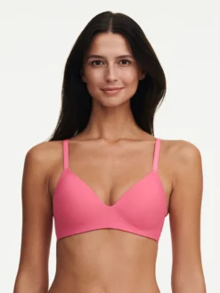 Passionata PILA Bügelloser BH -BHs importe boutique P40L50 0KS 2 1 scaled